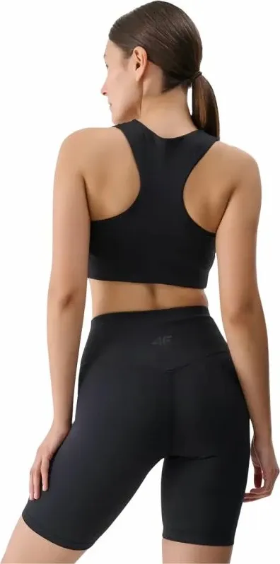 Pamja 2