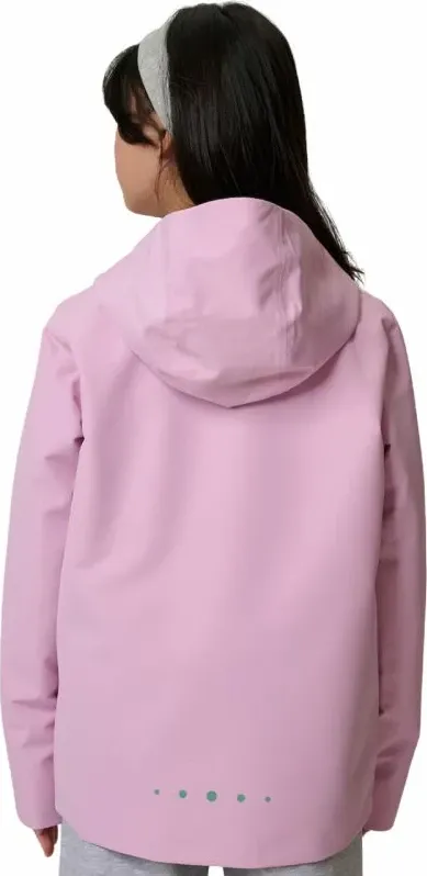 Pamja 3