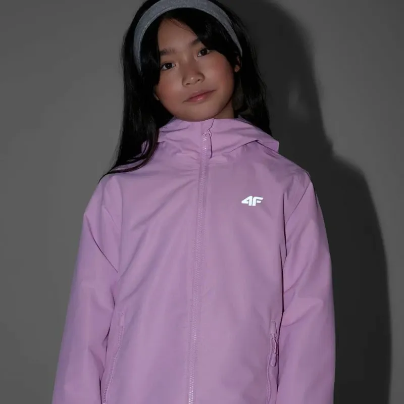 Pamja 8