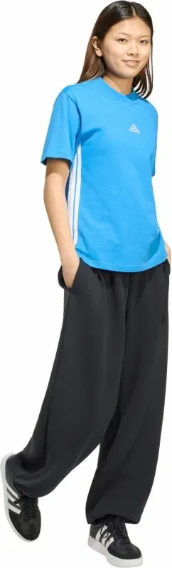 Pamja 6