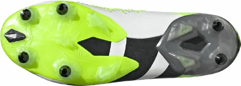 Pamja 8