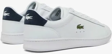 Pamja 8