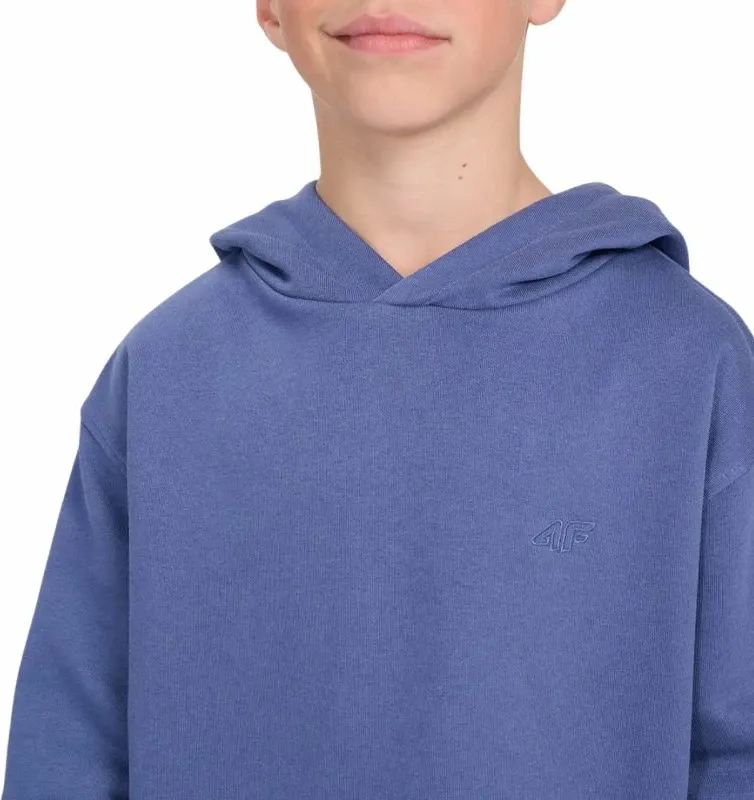 Pamja 4