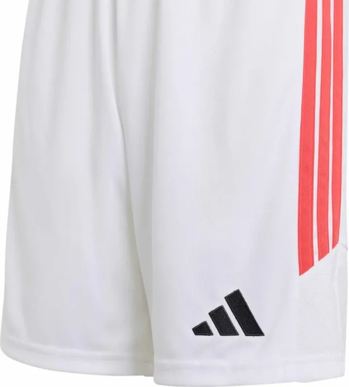 Pamja 5