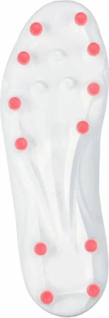 Pamja 5
