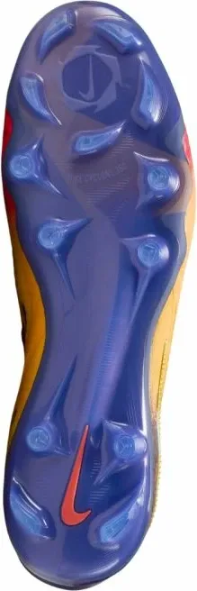 Pamja 6