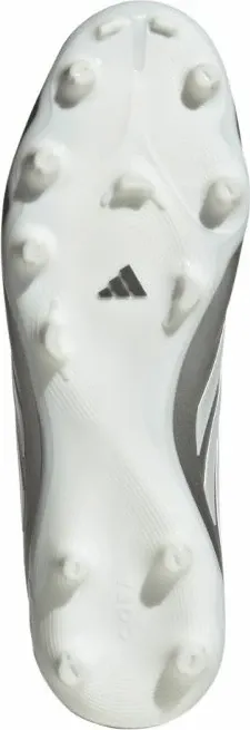 Pamja 6