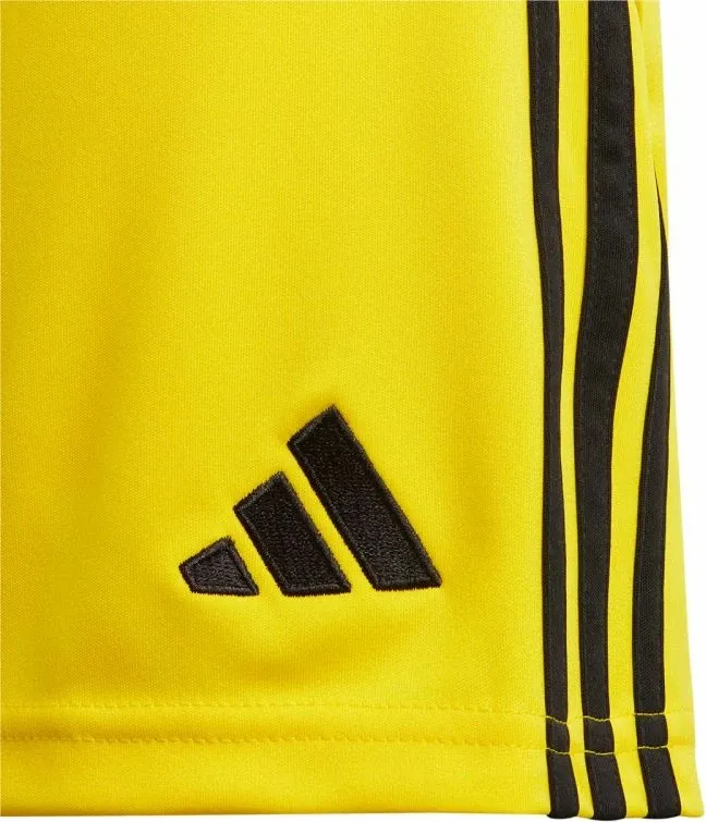 Pamja 6