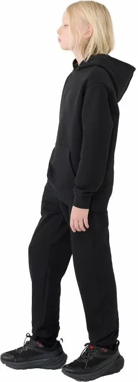 Pamja 4