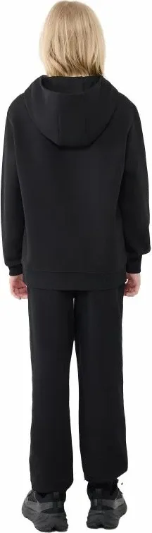 Pamja 5