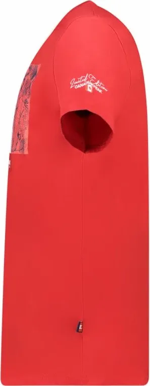 Pamja 4