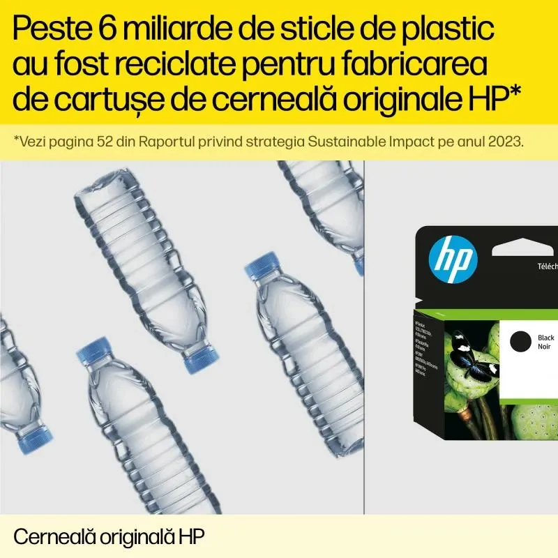 Pamja 4