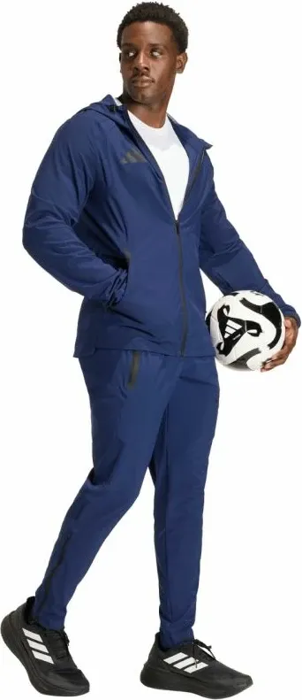 Pamja 6