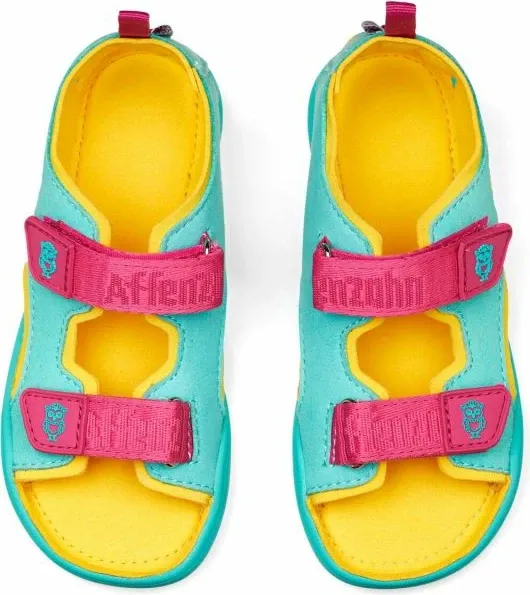 Pamja 4