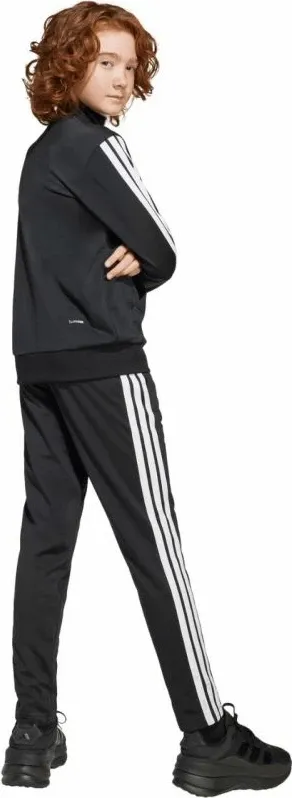 Pamja 6