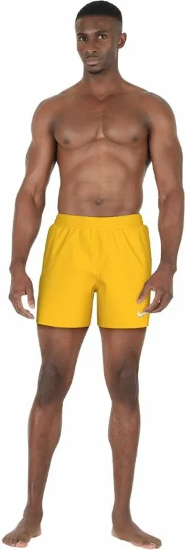 Pamja 4