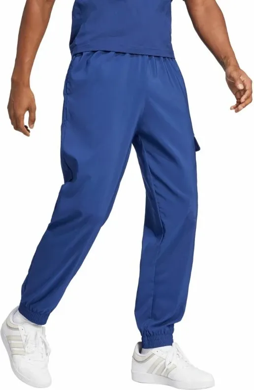Pamja 4