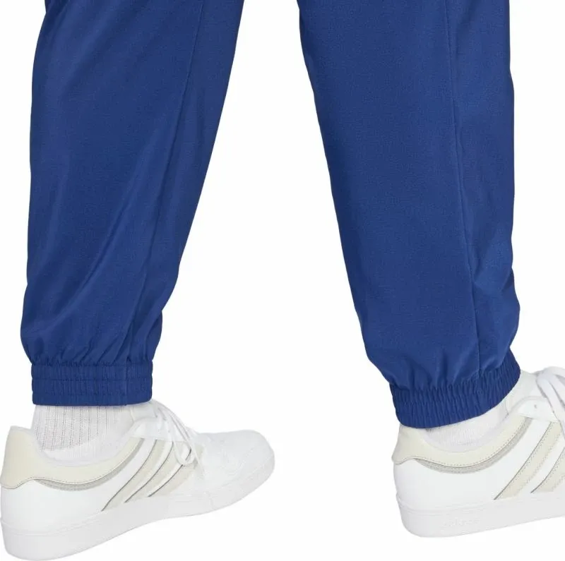 Pamja 6