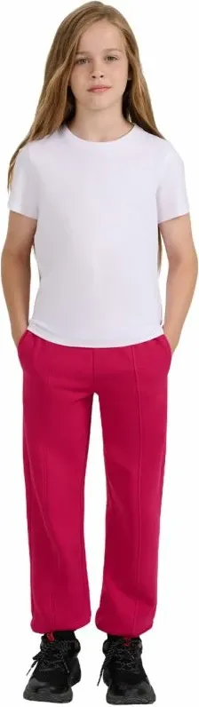 Pamja 5