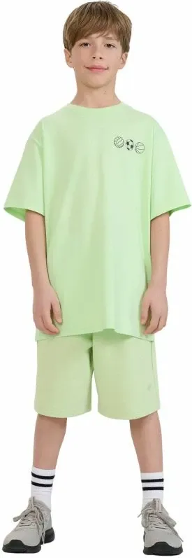 Pamja 5