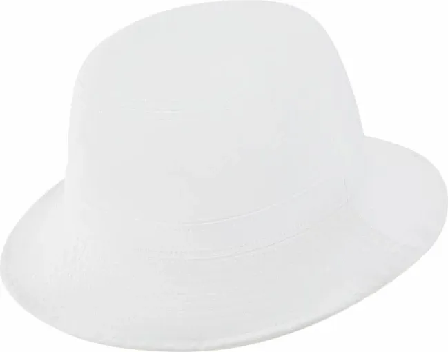 Pamja 2