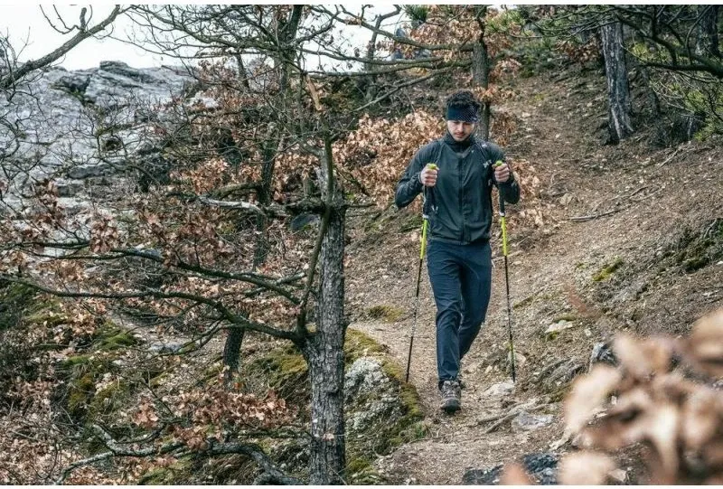 Pamja 7