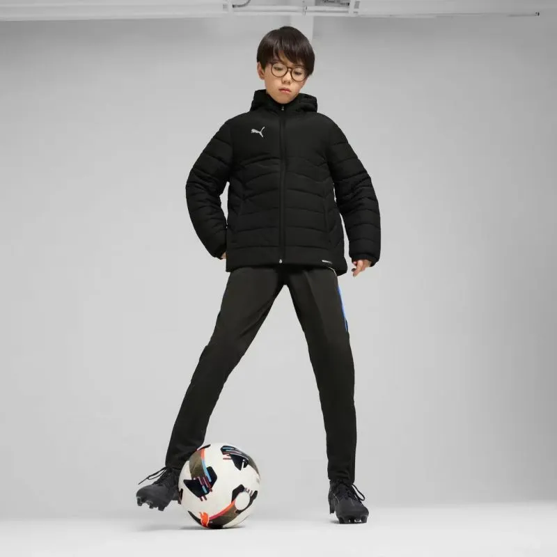 Pamja 6