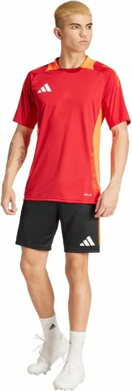 Pamja 4