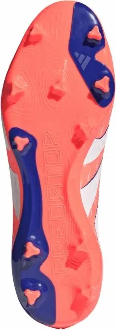 Pamja 6