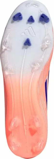 Pamja 6