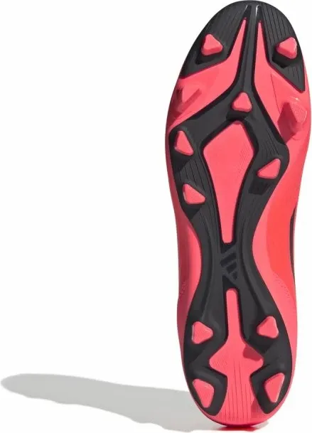 Pamja 4