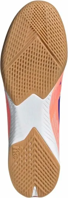Pamja 6
