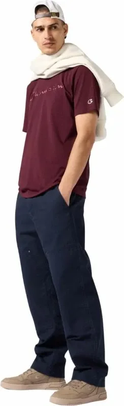 Pamja 7