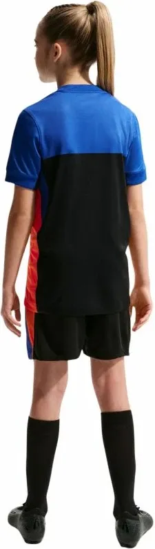 Pamja 9