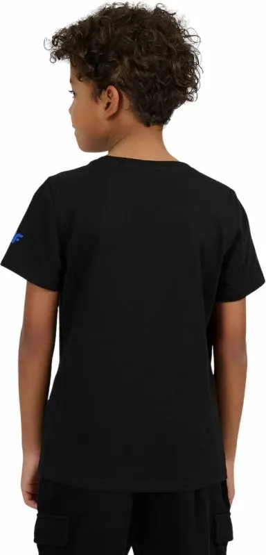Pamja 3