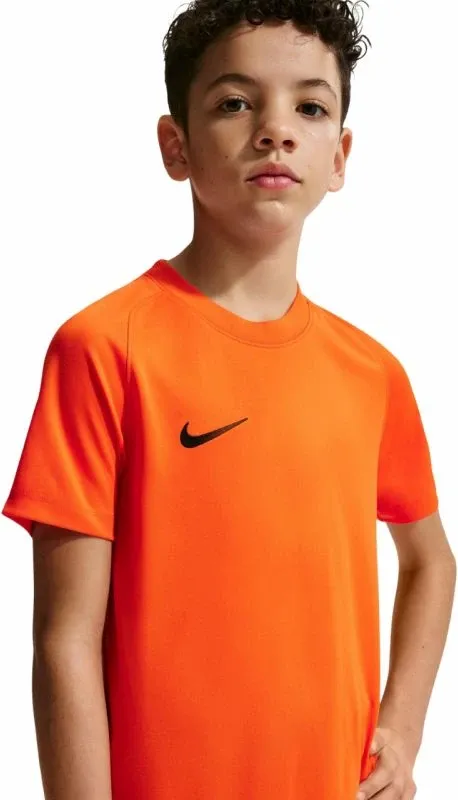 Pamja 10