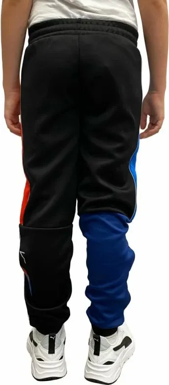 Pamja 2