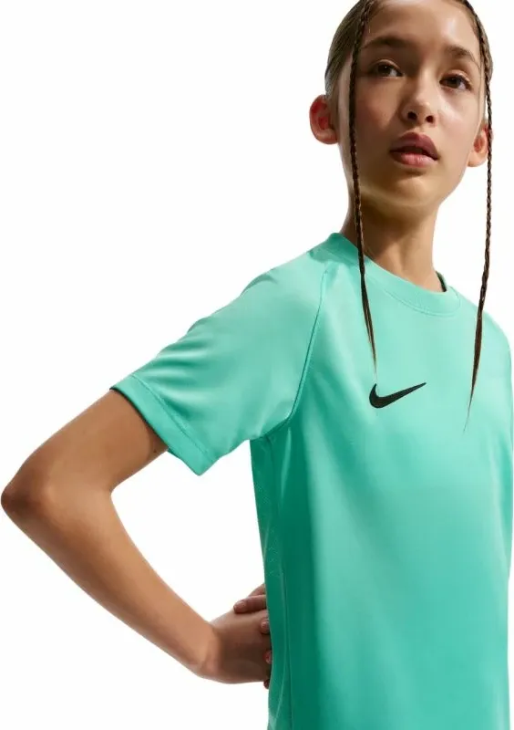Pamja 3