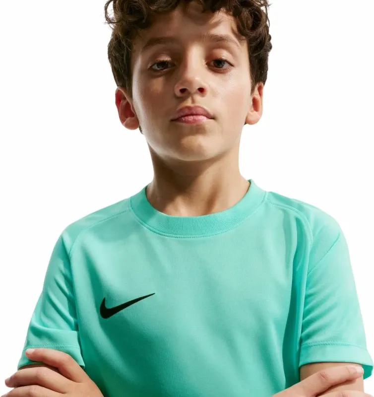 Pamja 4