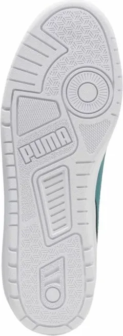 Pamja 6