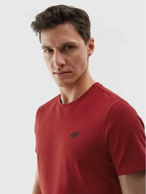 Pamja 4