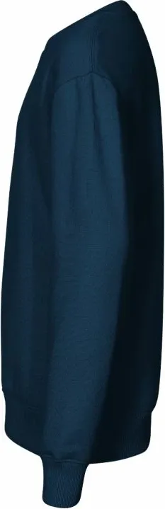 Pamja 3
