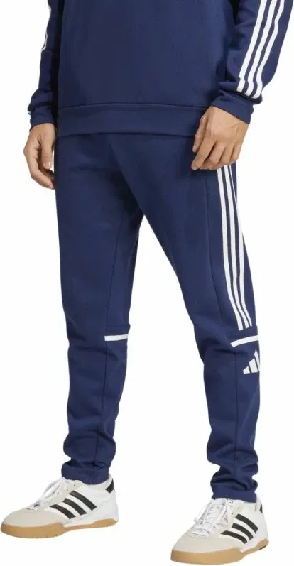 Pamja 2