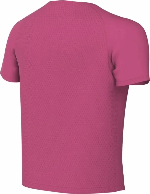 Pamja 6
