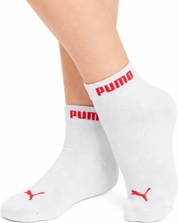 Pamja 3