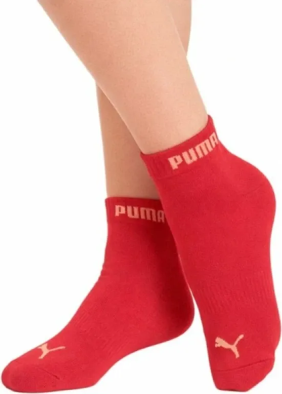 Pamja 4