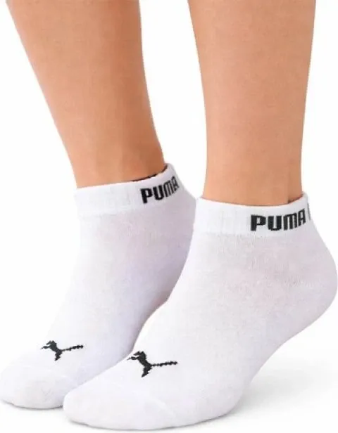 Pamja 2