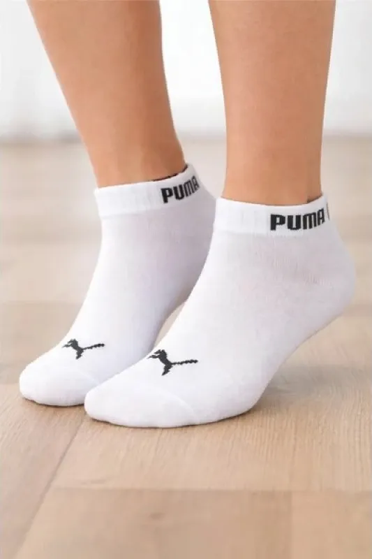 Pamja 3