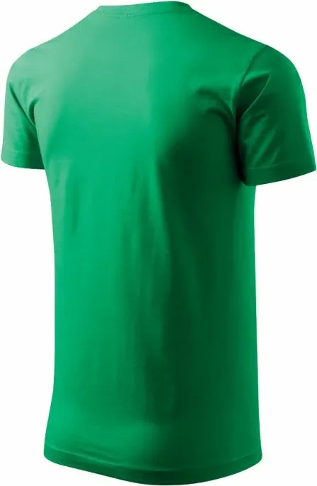 Pamja 4