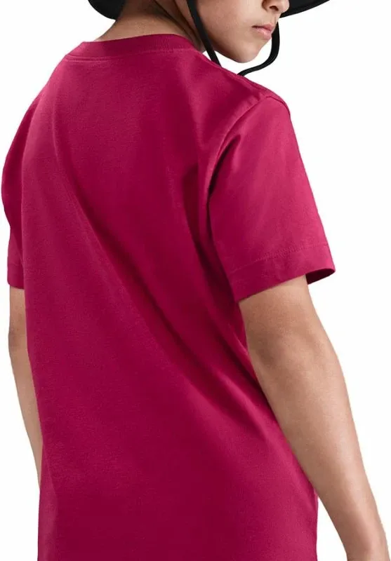 Pamja 4